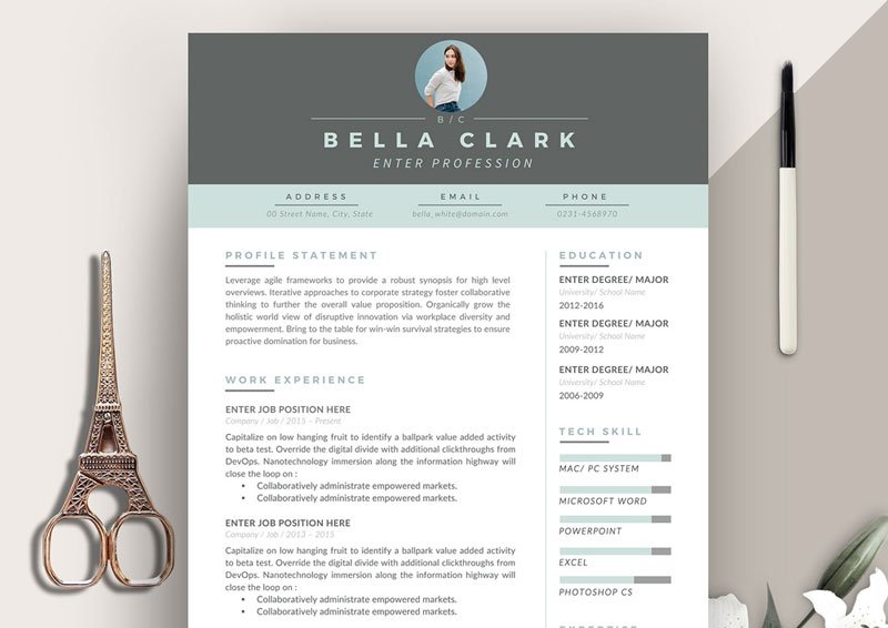 Free-Resume-Design-Template-For-Professionals