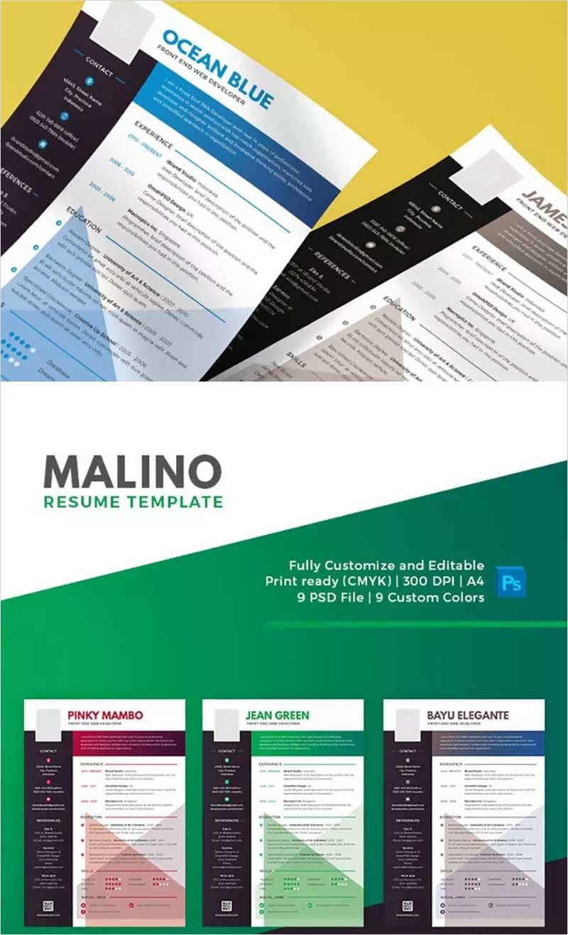 Malino-Resume-Template