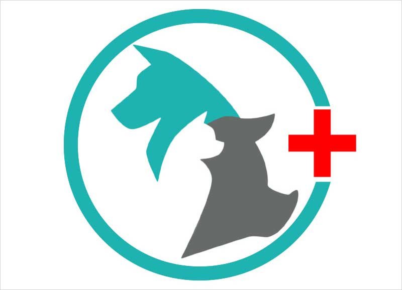 50 Best Veterinary Logos Collection for 2019 - 50 Graphics