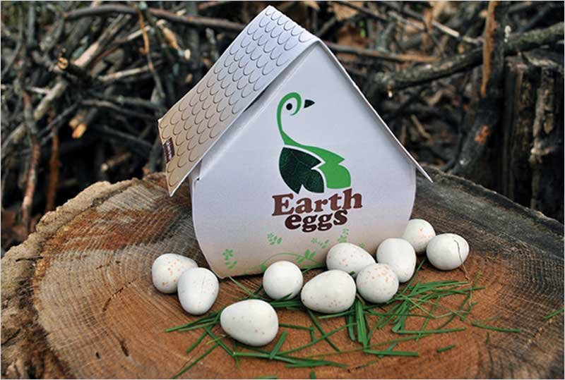 Earth-Eggs