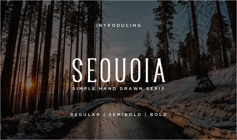 Sequoia-Font
