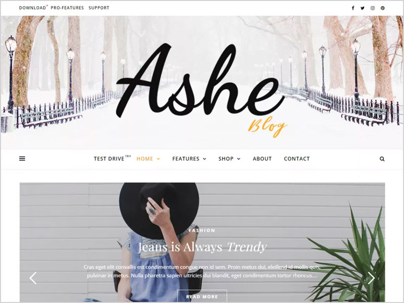 Ashe-Free-WP-Theme