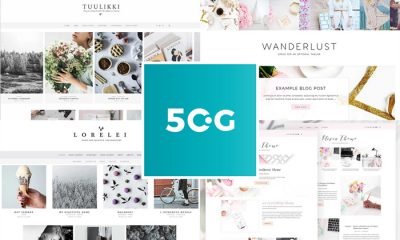 50-WordPress-Blog-Themes-For-Your-Professional-Business-in-2018