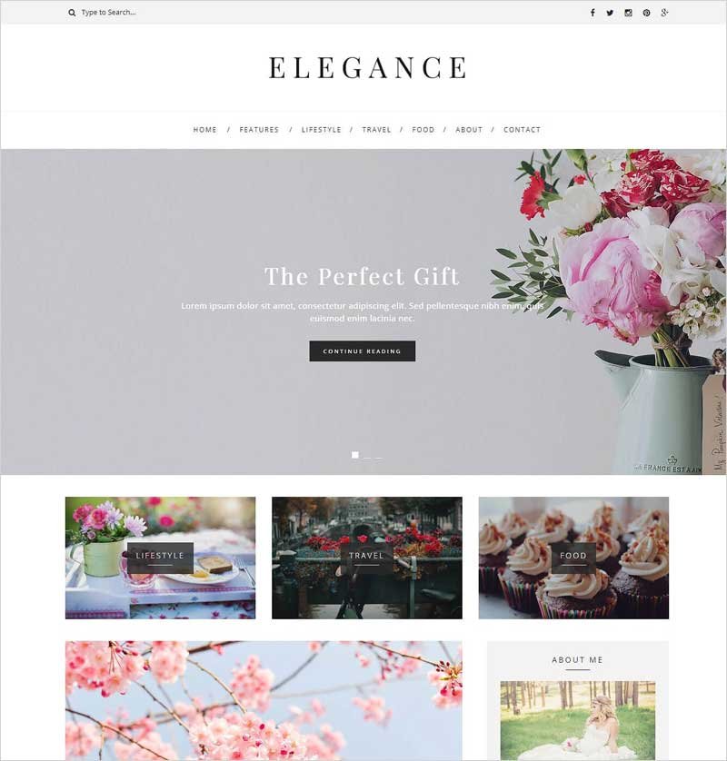 Elegance---WordPress-Blog-Theme