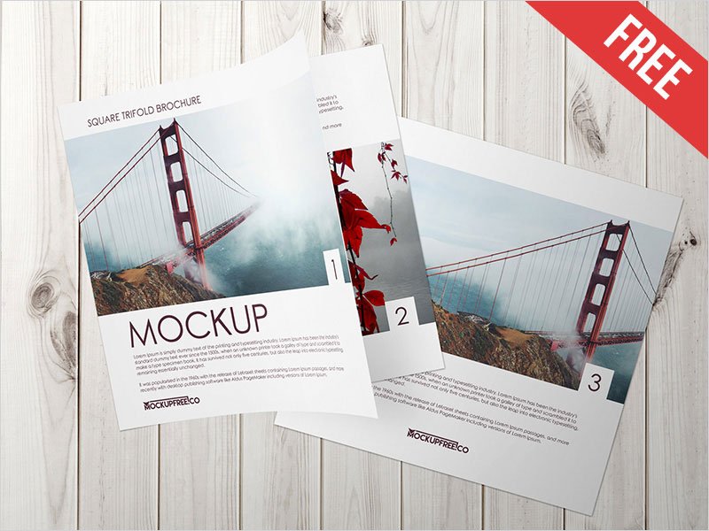 Square-Trifold-Brochure-–-2-Free-PSD-Mockups