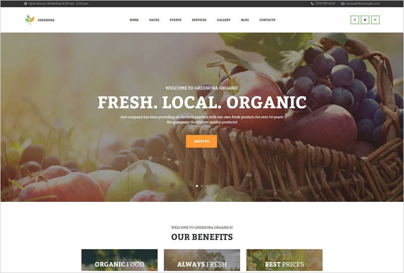 Organic-Farming-WordPress-Theme1