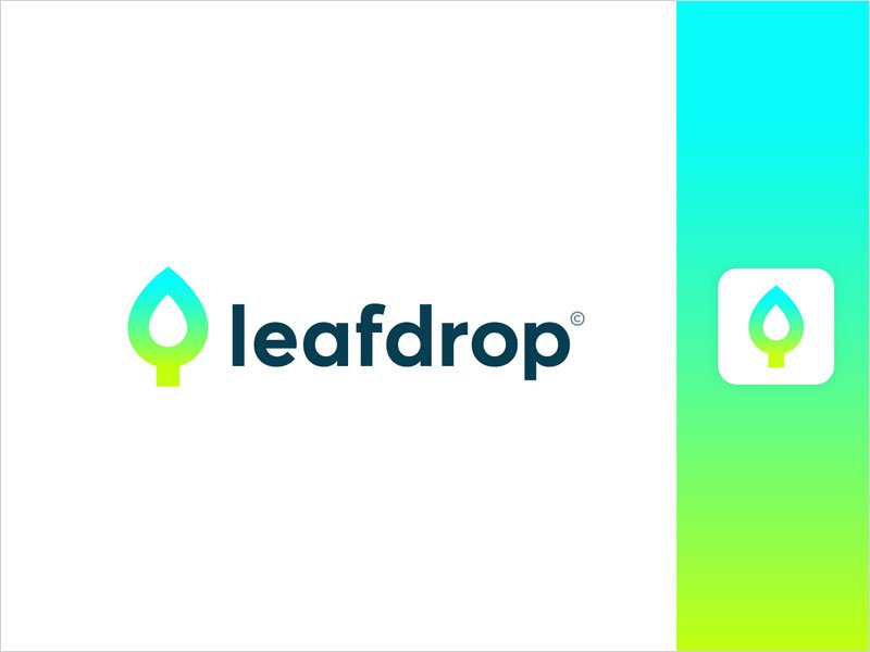Leaf-+-Drop-Logo-Concept