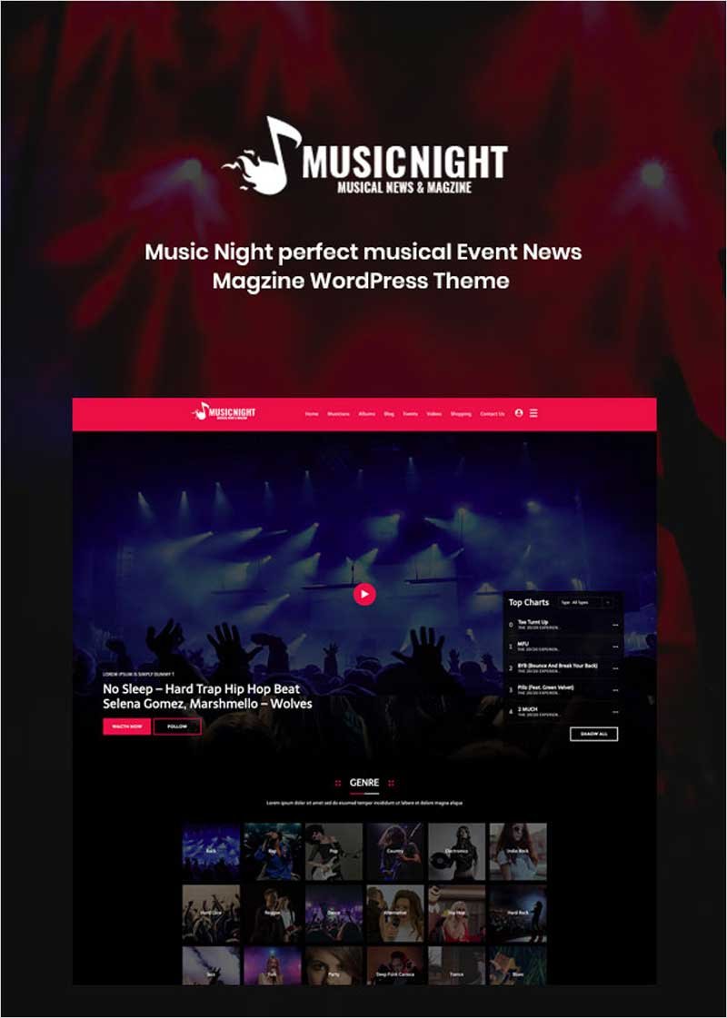 MusicNight-Blog-WordPress-Theme