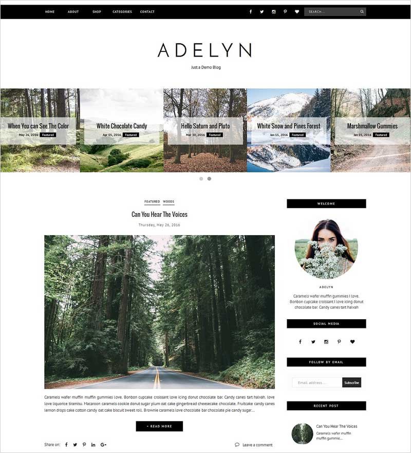 Blogger-Template-Responsive---ADELYN