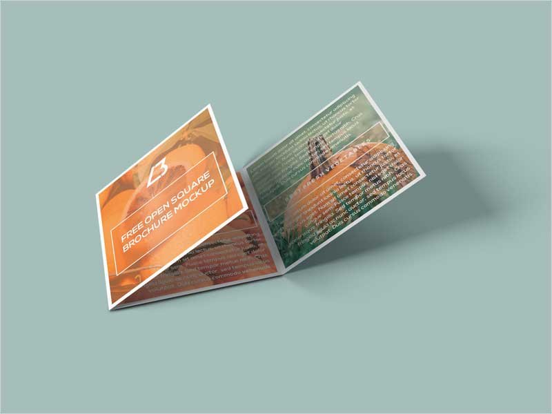 Free-Brochure-PSD-Mockup