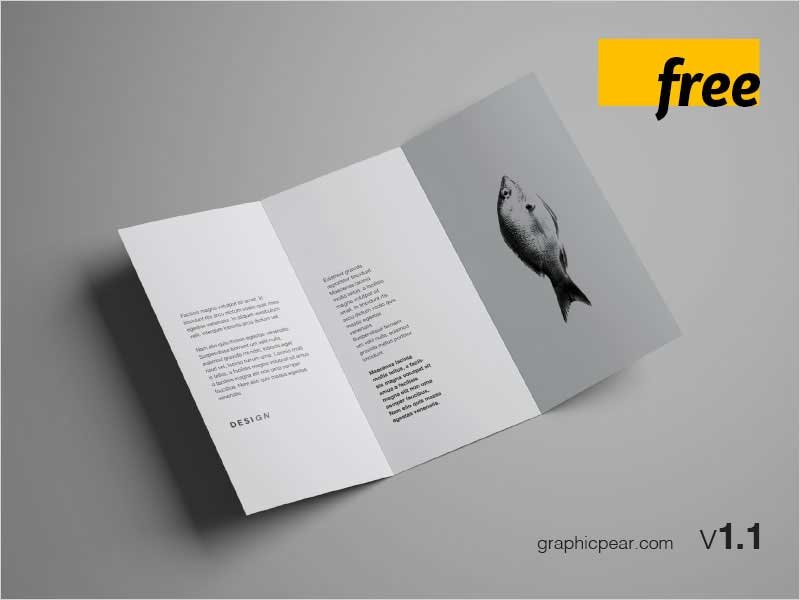 Free-Trifold-Brochure-Mockup