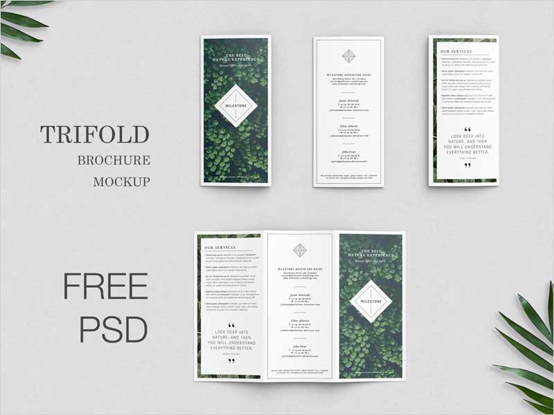 Free-Trifold-Brochure-Mockup1