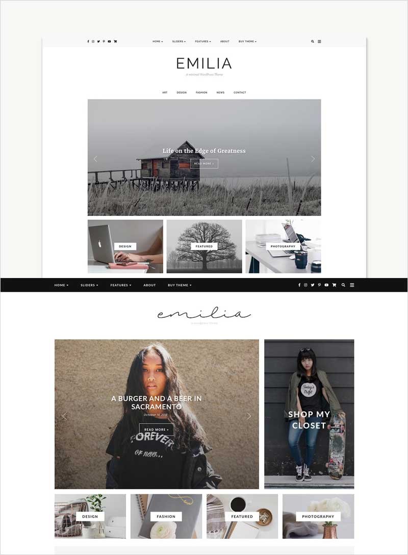 WordPress-Theme,-Responsive,-Emilia