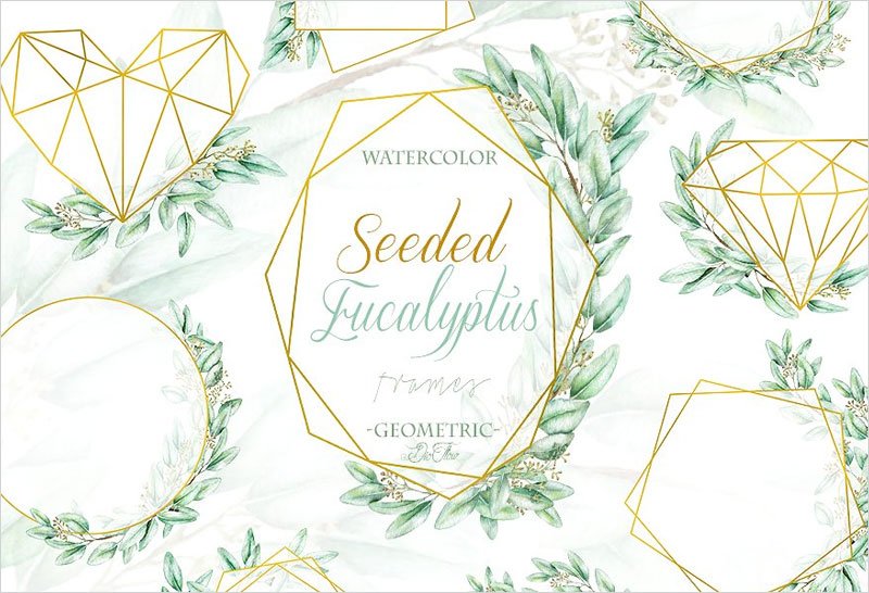 Seeded-Eucalyptus-Geometric-Frames