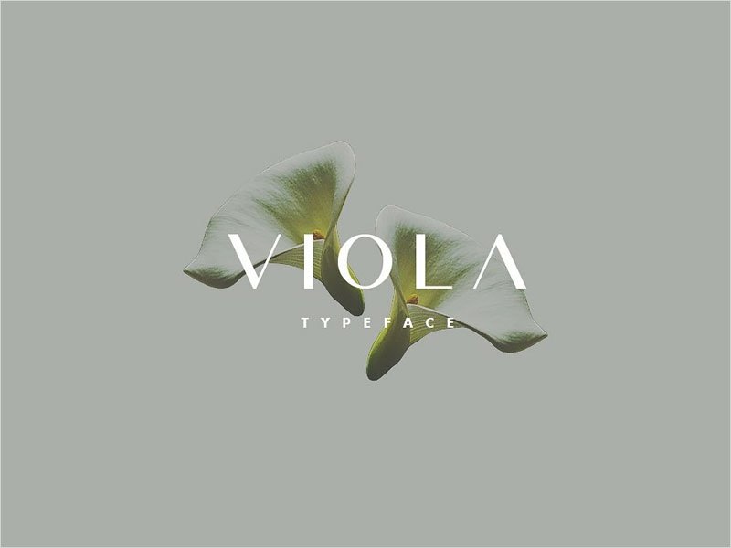 Viola-Free-Font