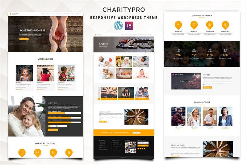 Charitypro-–-Charity-WordPress-Theme