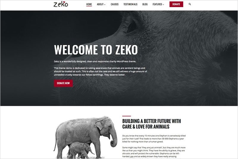Zeko---Non-Profit-WordPress-Theme