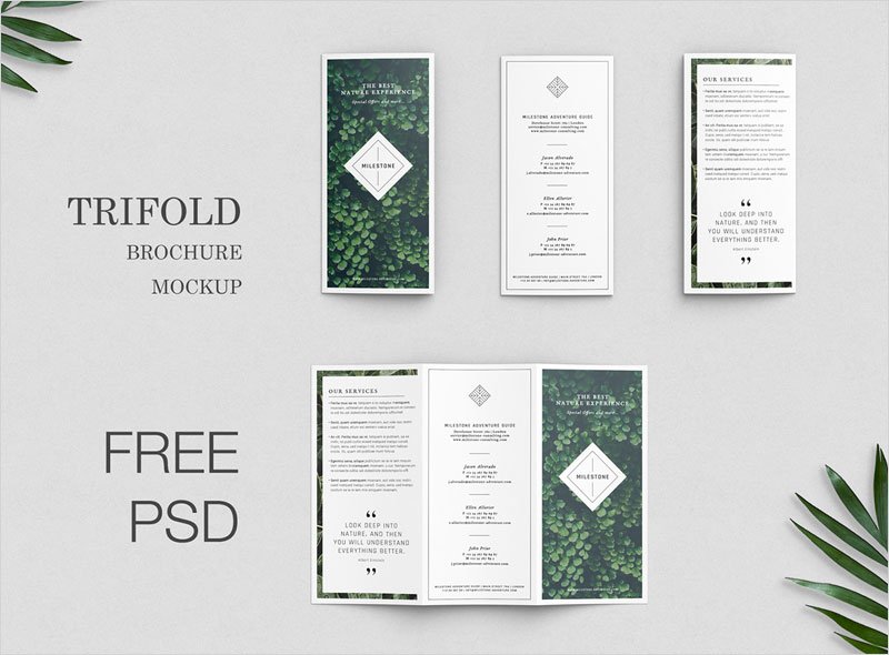 Free-Trifold-Brochure-Showcase-Mockup