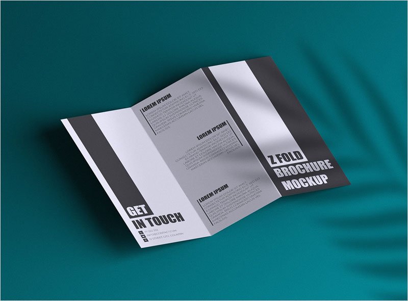 Free-Z-Fold-Brochure-with-Plant-Shadow-Mockup